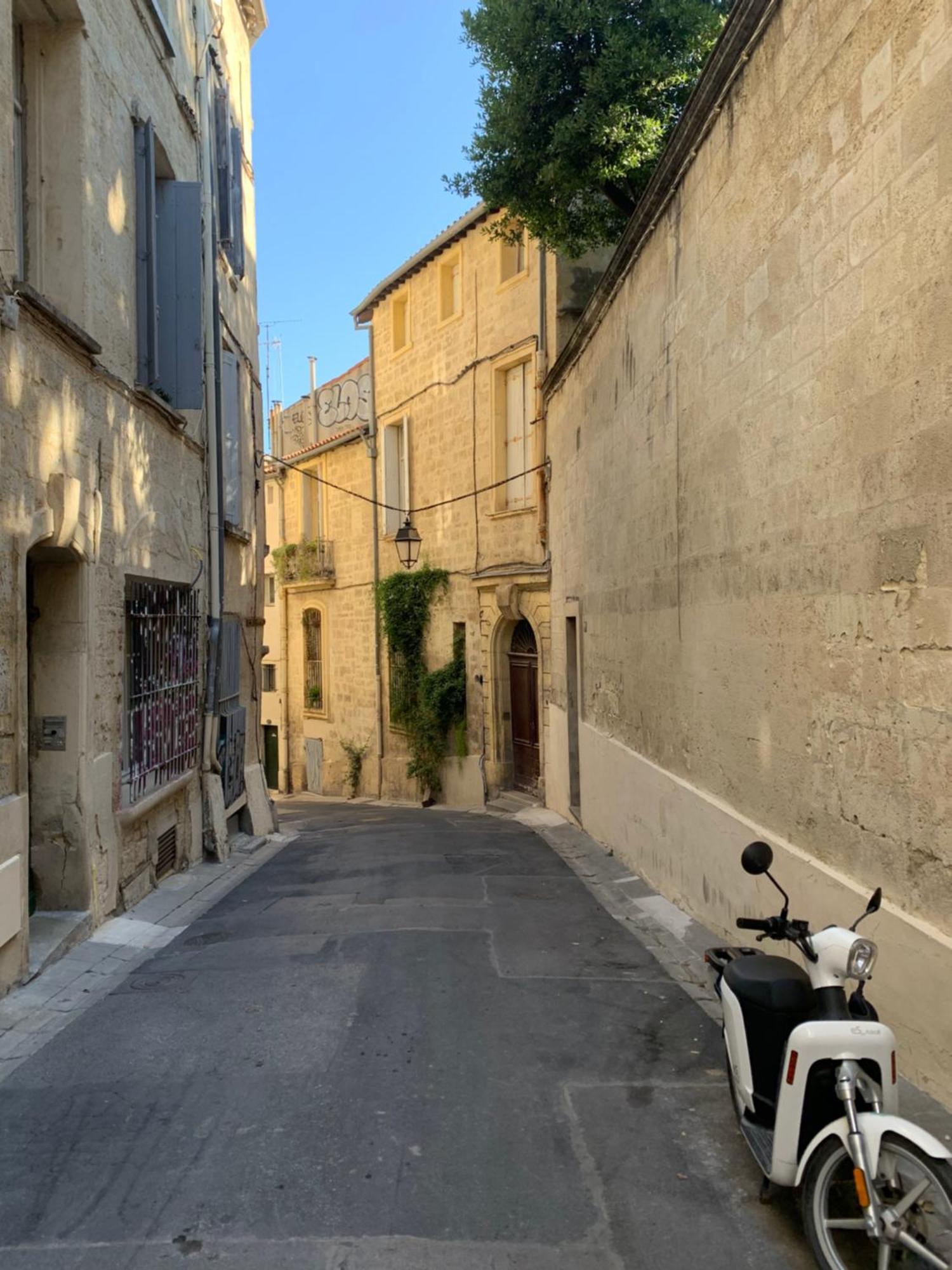 Pic Saint View Grand Corum Montpellier Bagian luar foto
